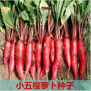 С���tˮ�}��400 ����ԭ�b��ʰ�13cmX19cm��