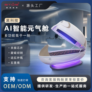 Graphene Bioresonance Energy Cabin Human Entropy Reduction Instrument Intelligent Sweat Cabin Space Cabin Health Quantum Energy Cabin