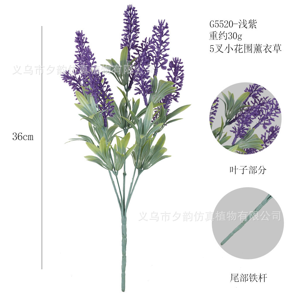 G5520-라이트 퍼플 5프롱 라벤더