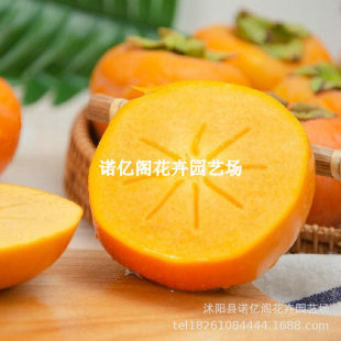 ��Ʒ�N���Ә��糬��������O�����Ә�޽ӹ����ϱ����Nֲ����Y��