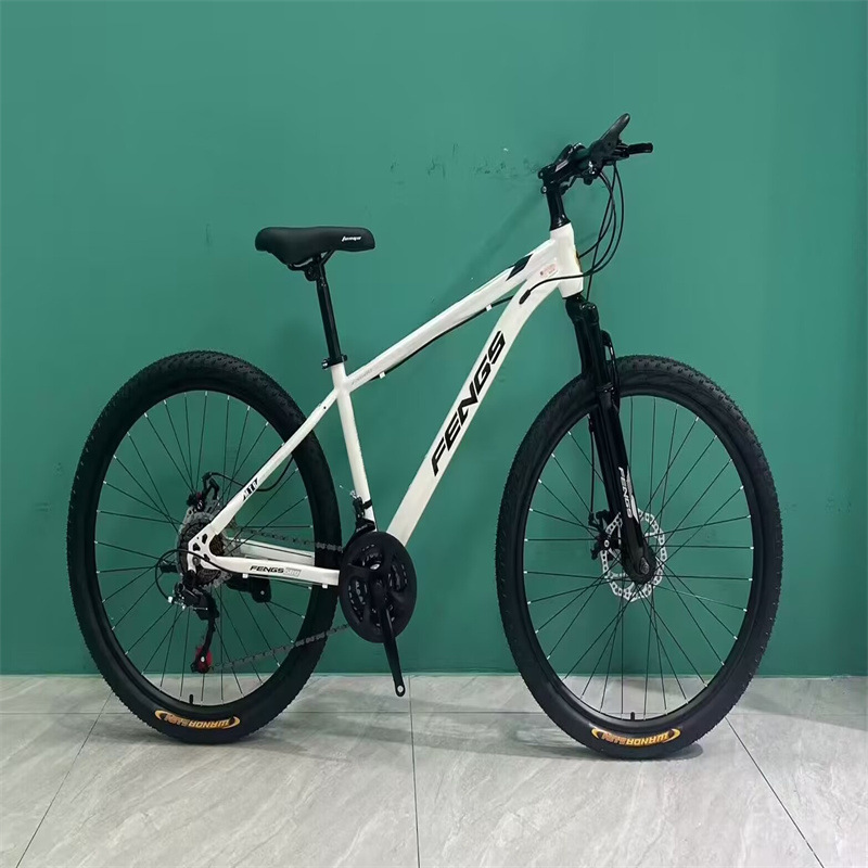 Wind sound mountain bike bank gift adult bicycle 21 speed mountain bike men's and women's scooter racing