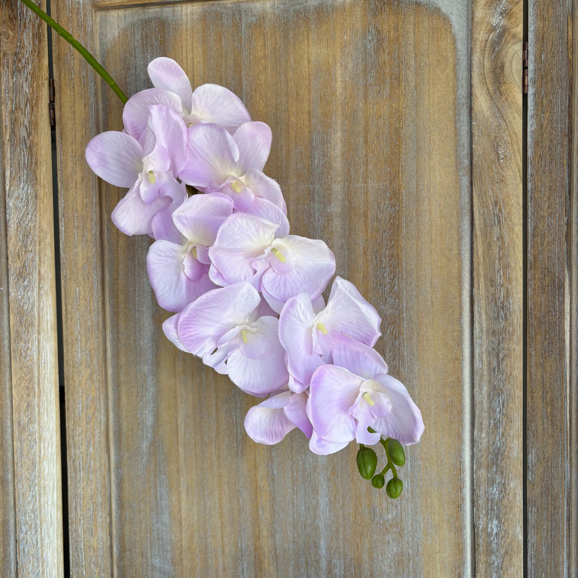 밝은 보라색
