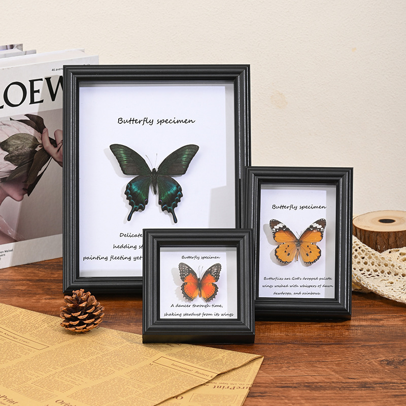 Three-Dimensional Hollow Glass Photo Frame Display Stand Wholesale DIY Butterfly Insect Picture Frame Rectangular 678inch 10inch Specimen Frame