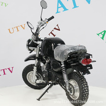 厂家直销新款小猴子越野公路赛沙滩车场地摩托车成人小跳110cc单