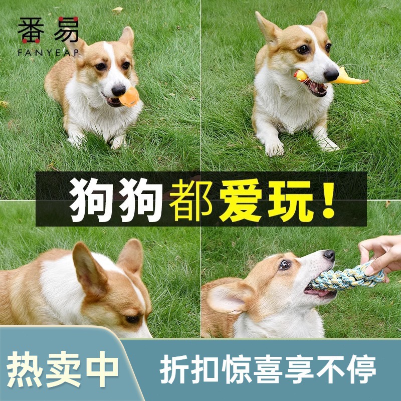 Free Shipping/Pet Toys A1P42-Dog Bite-Resistant Teething Stick, Chew Toy for Puppies and Small Dogs