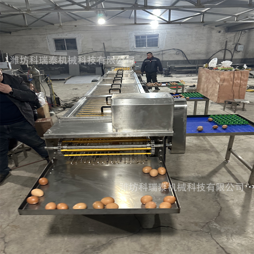 商用鸡蛋蛋分级机 蛋品电子分级机 鸭蛋分选设备