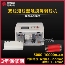 4ƽ���ξ�2.5ƽ���p���̾����|������X�����C����PVC늾���Ƥ�C