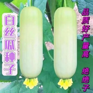 �׽z��ţ�̽z�ϷN�Ӱ���N�������S�a�˷N�ļ������＾�߲�����Ʒ