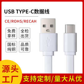 type-c面条短线1米1A2A蓝牙耳机AI玩具配机线扁线USB小家电充电线