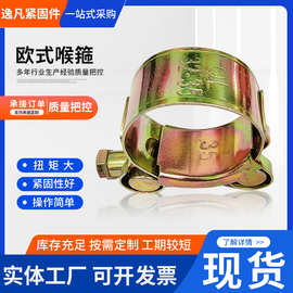 欧式强力箍抱箍卡箍 不锈钢强力喉箍201欧式加强管卡管夹固定喉箍