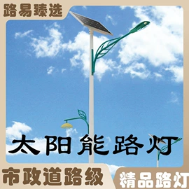 太阳能灯;庭院灯;道路照明灯