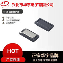 15*8mm ΢��������8ŷ0.5W����� �����۾���С������������1508