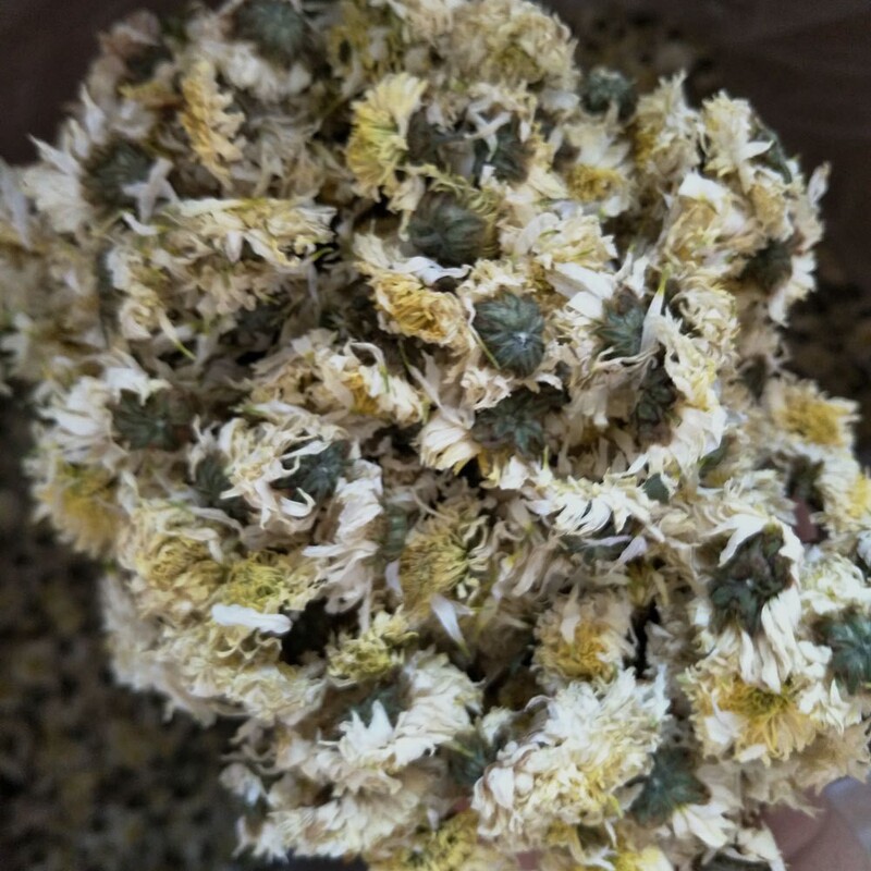メーカー卸売り安徽黄山功菊源直供菊茶葉バラ白菊新商品七月菊茶|undefined