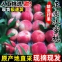 唐山河北新鲜代发水果