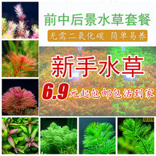 �~���쾰��ˮ�� ���wˮ�� ˮ���ײ� ����ˮ�� �G�� �t��