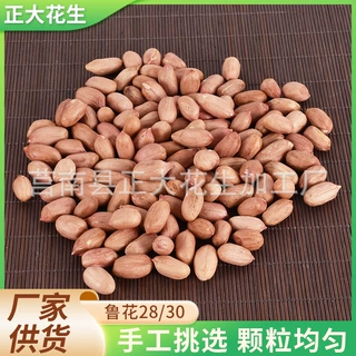 鲁花花生28/30厂家 鲁花榨油花生 去壳带皮花生米花生仁批发