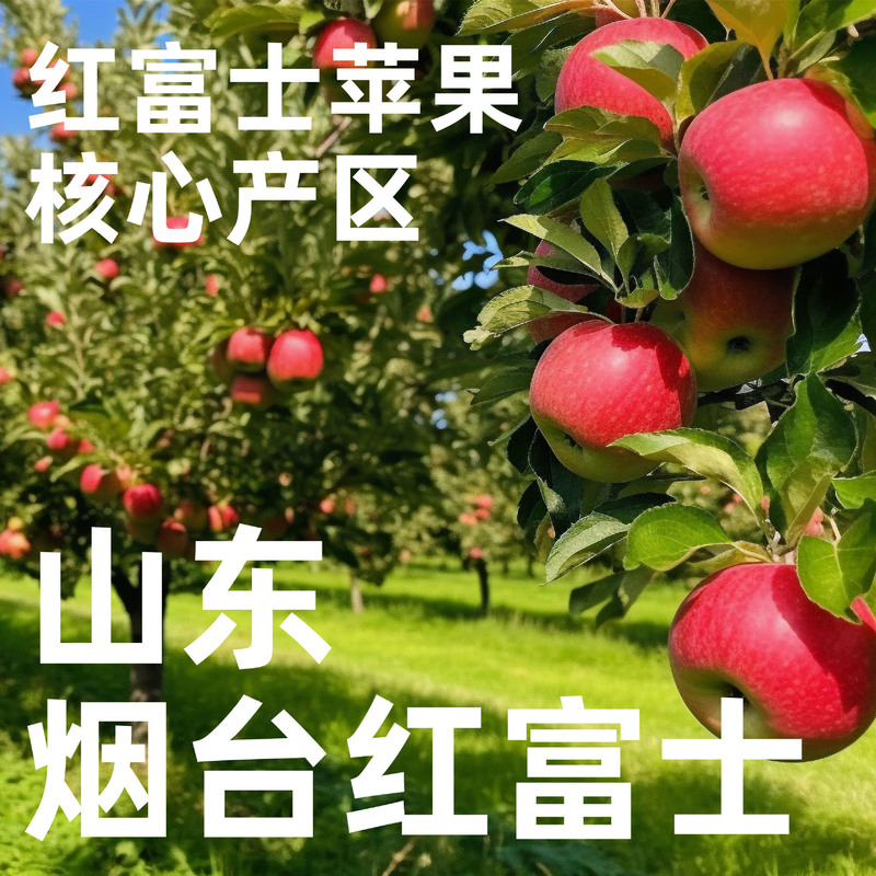 アップルジュース 100% フレッシュジュース Douyin Kuaishou 人気のソース工場カスタマイズされたアップルジュース|undefined