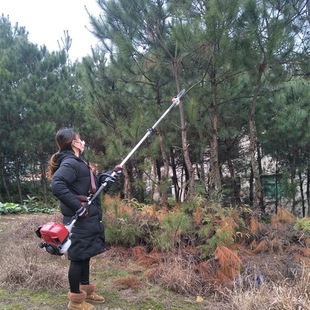 high branch oil saw high branch saw fruit tree pruning saw lawn mower gasoline tree high-altitude saw high branch gasoline high branch shears