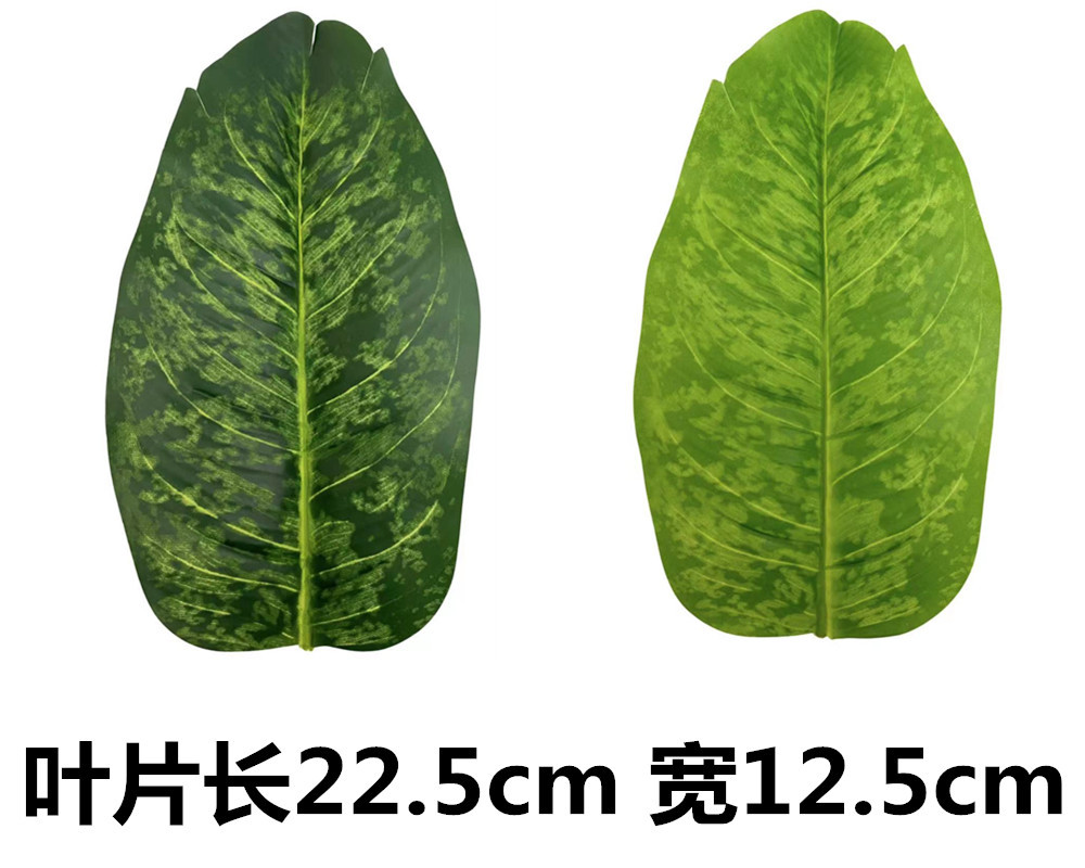未命名_副本85