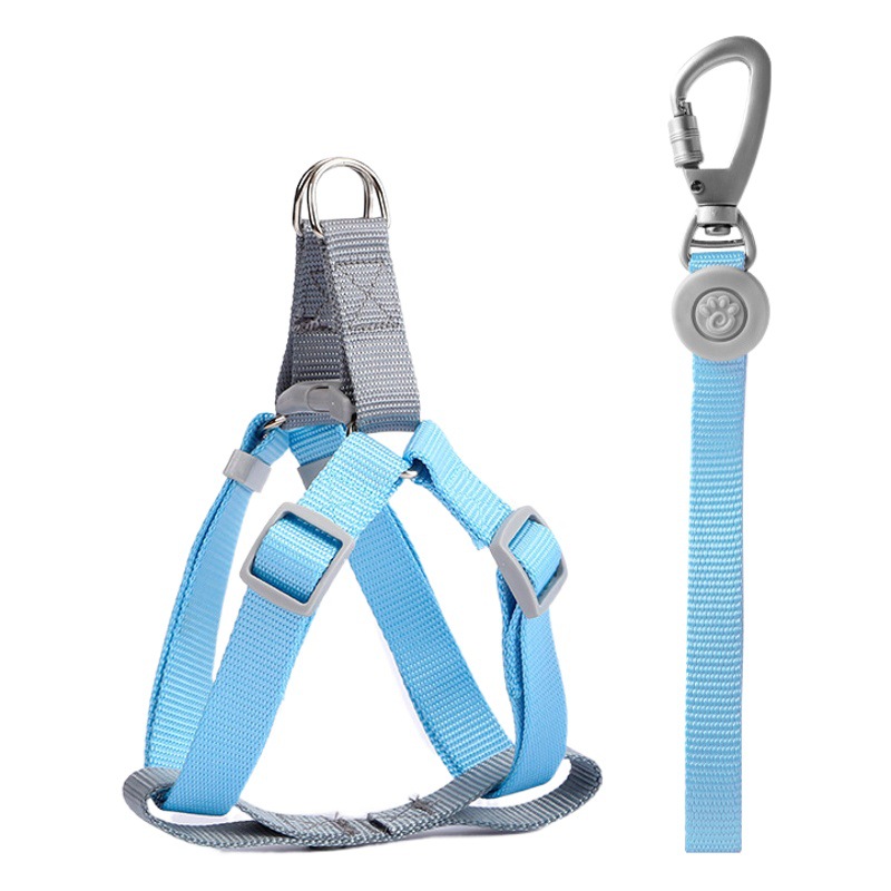 Correa perro cadena macaron nylon pecho espalda perro ajustable perro Correa tracción PET suministros al por mayor