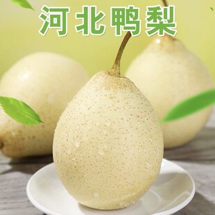 ����ˮ��������������9�ﱡƤ�ӱ�ˮ�������l