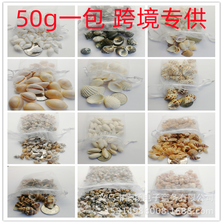 国境を越えた売れ筋商品 - 50g 天然法螺貝キビカタツムリ DIY ドリフトボトル オーシャンボトル素材 水槽装飾|undefined