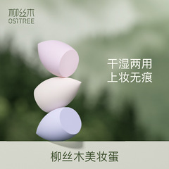 柳の木の美しい化粧の卵 (色はランダムに配って、指定を受け付けません。