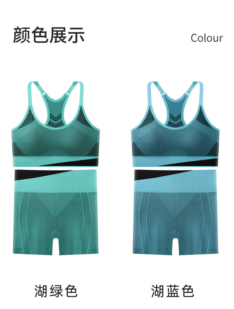 Nuevo bra elástico de alto impacto de color sexy reuniendo la espalda hermosa no correr taza antichoque chaleco deportivo de yoga conjunto de pantalones