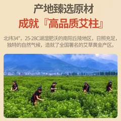 Chen Nian Jinhai Moxa Pill Wholesale Independent Packaging Five-Year Handmade Moxa Pill Smokeless Moxa Pill Moxa Pill Granules