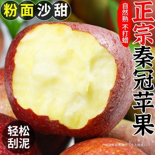 ����عڷ���ɳ���O�����r�������ˌ�������9���ﶬ����ˮ������