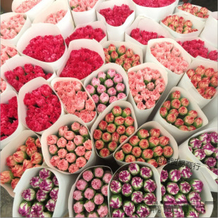 �r�����ֱ�l����ܰ����ͬ�����f����ˮ�B������������ĸ�H��