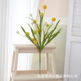 ��֧�S�����֦ �Ҿ��b��滨��֦ �羳�OӋ��c�zӰֱ�����߻�