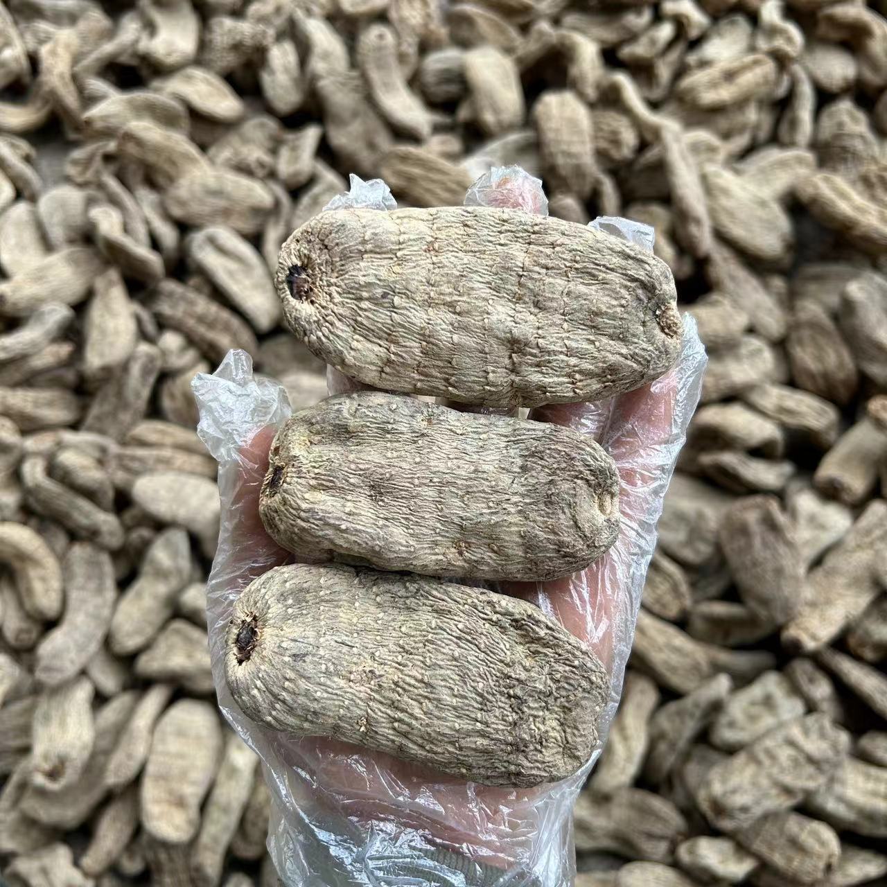 云南天麻乌干货昭通产地现货中药批发量大可议价