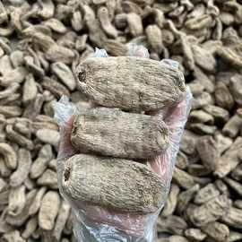 云南天麻乌干货昭通产地现货中药批发量大可议价