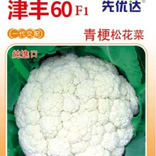 ���l���S60�ͺ���Ʒ�|�Y���دB �˻�ѩ�׾o�� �ó���ζ