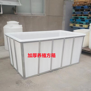 800 Liter Aquaculture Beef Tendon Plastic Square Bucket 2200 Liter Clothing Factory Special Turnover Bucket 1 Ton with Frame Bucket