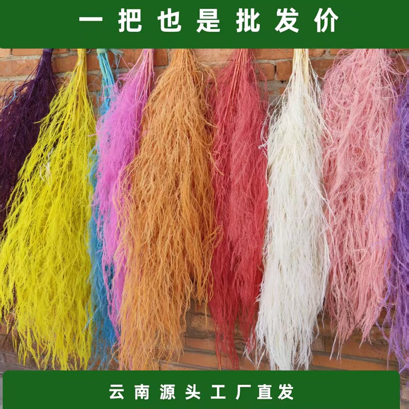 Preserved Flowers, Dried Flowers, Dragon Whiskers, Long-Haired Grass, Hanging Rice, Wedding Decoration, Soft Decoration, Floral Hanging, Custom Processing Preserved Flowers, Dried Flowers, Dragon Whiskers, Long-Haired Grass, Hanging Rice, Wedding Decoration, Soft Decoration, Floral Hanging, Custom Processing