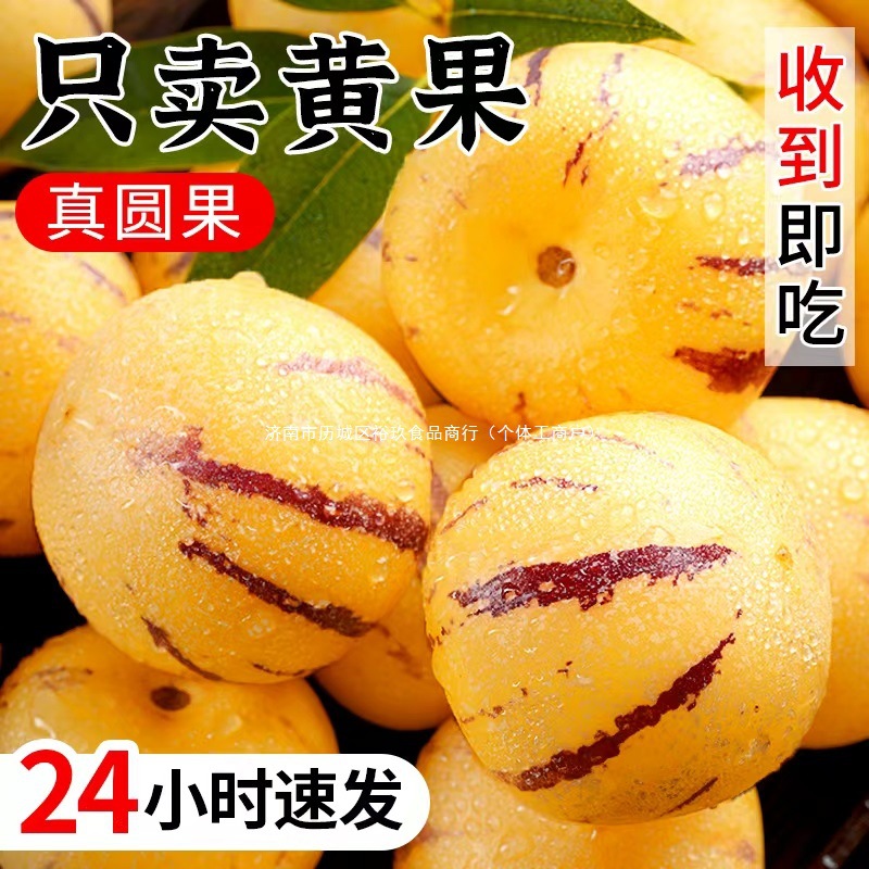 人参果新鲜水果云南石林黄心圆果树上熟七彩人叁果应当季整箱包邮