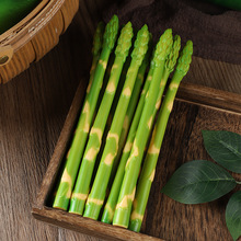 ������Sģ�ͼ��J�Së�S�߲�ʳ���Ĕz���ߘӰ巿�b�����Д[��