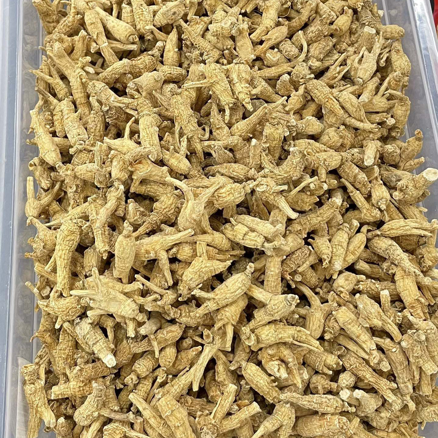 Canadian American Ginseng Hua Qi Shen 250g Whole Small Round Roots for Soup and Tea key features