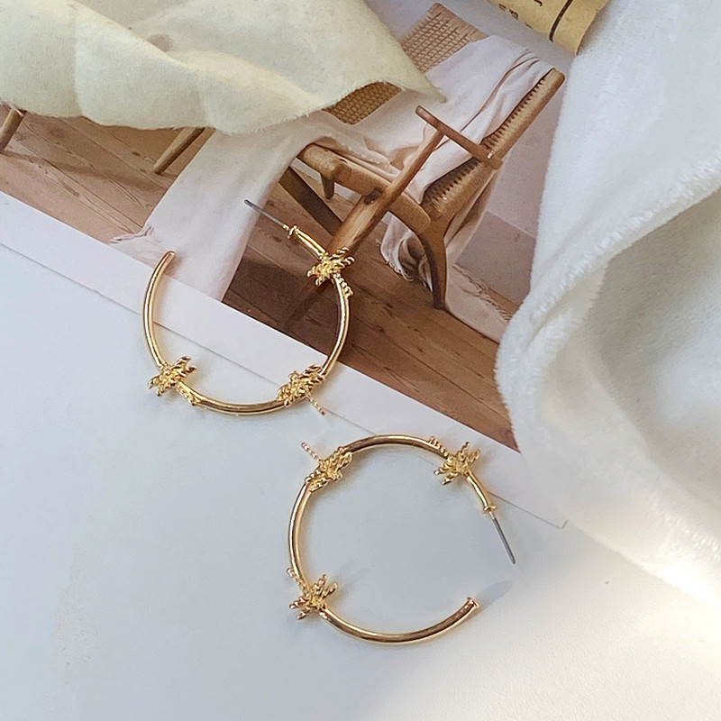 1 Pair Fashion Insect Alloy Women's Hoop Earrings display picture 3