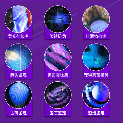 Purple light currency detector lamp uv365nm fluorescent agent detection cat moss lamp rechargeable flashlight UV Wood's lamp