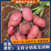 ��ϼtƤ����5�������ɫ�F�ڬF�l���r�߲�3���l���]10�����R���