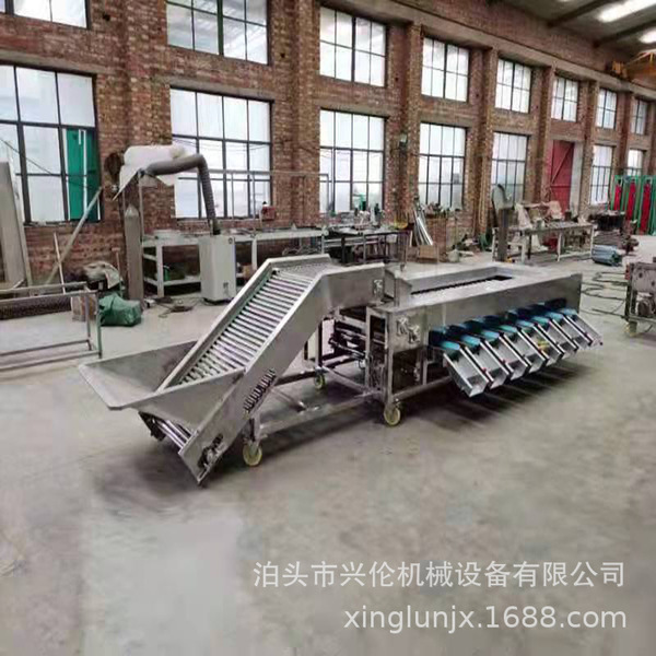 Sweet potato grading machine