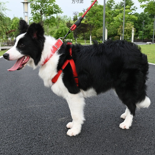 Dog Leash 2m 3m Dog Harness Back Harness Golden Retriever TEDDY Small Medium Large Dog Walking Rope Pet Collar
