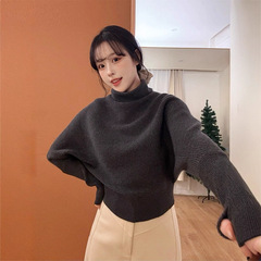 绝美冬季新款设计感小众半高领堆堆领套头毛衣女内搭针织衫女