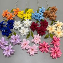 ���滨3�^С�ٺ�õ�tɫ�ٺϻ���Y���߻�c�����b���·������