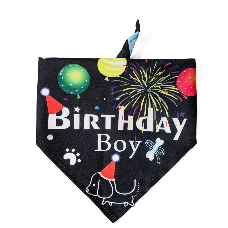 Pet Birthday Hat Image 5