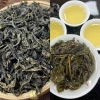 500g fresh fragrance oolong single cluster duck shit fragrance No. 12 [e-commerce version]