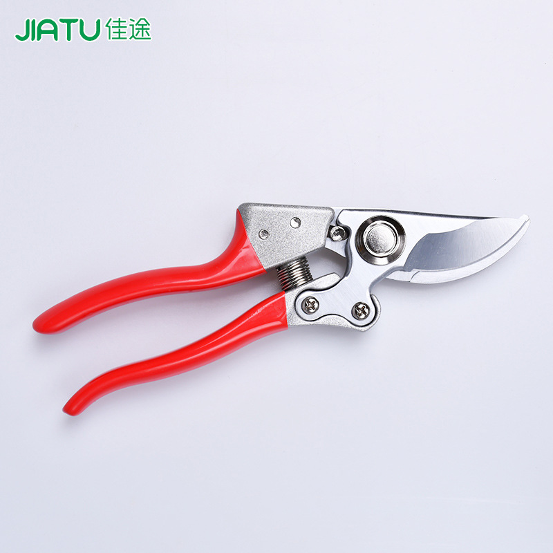 花枝剪修花园林工具园艺鸟嘴剪刀果树花木修枝剪粗枝盆栽SK5碳钢